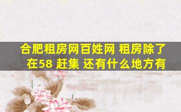 合肥租房网百姓网 租房除了在58 赶集 还有什么地方有